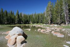 Pond At Yosemite Stock Photos