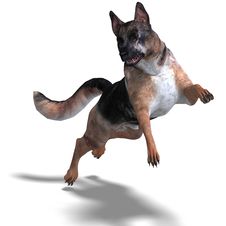 German Shepherd Dog Royalty Free Stock Images German Shepherd Dog Royalty Free Stock Images