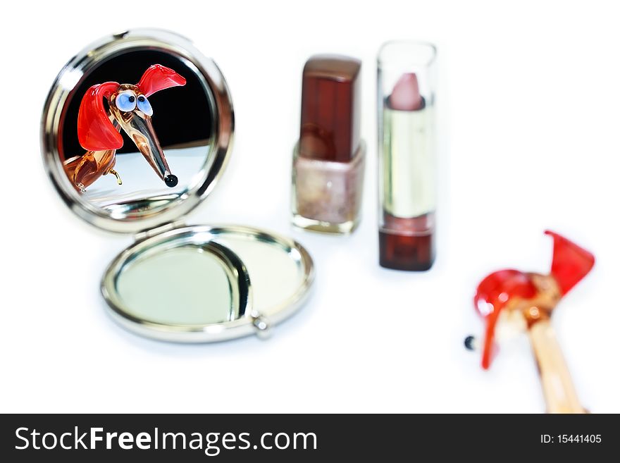 Dachshund Looking In The Make-up Mirror