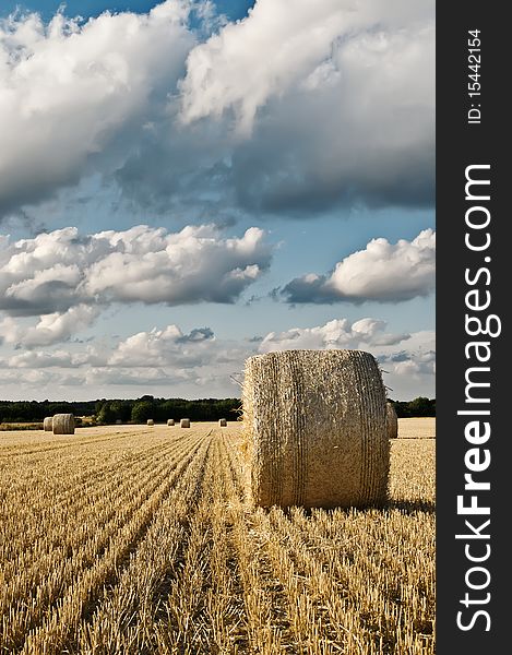 Hay bale roll on harvested field with cloudy sky. Hay bale roll on harvested field with cloudy sky