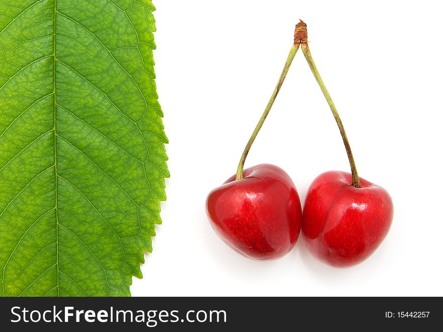 Isolated sweet cherries. Element of design.