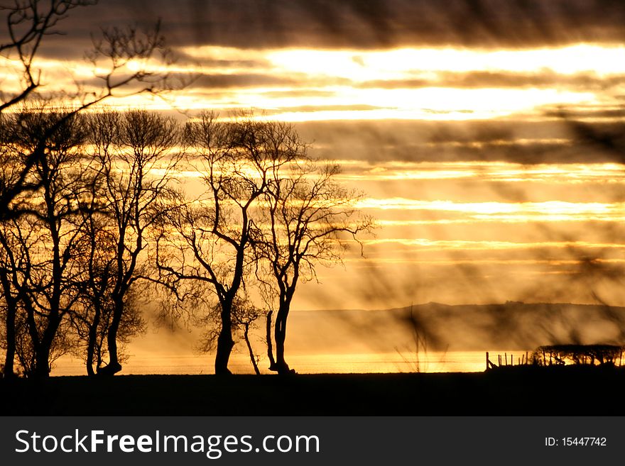 Golden Sunset