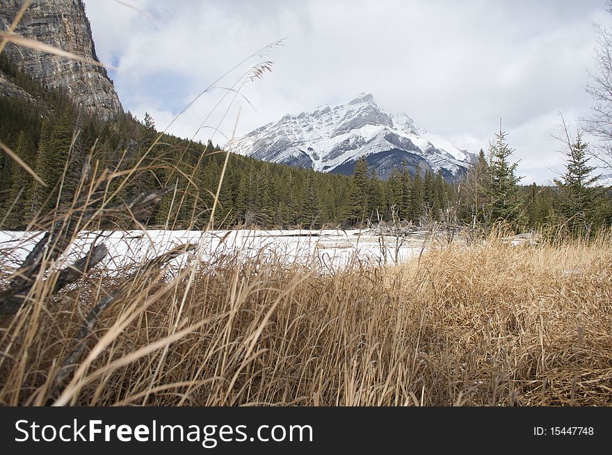 Meadow, River and Mountain