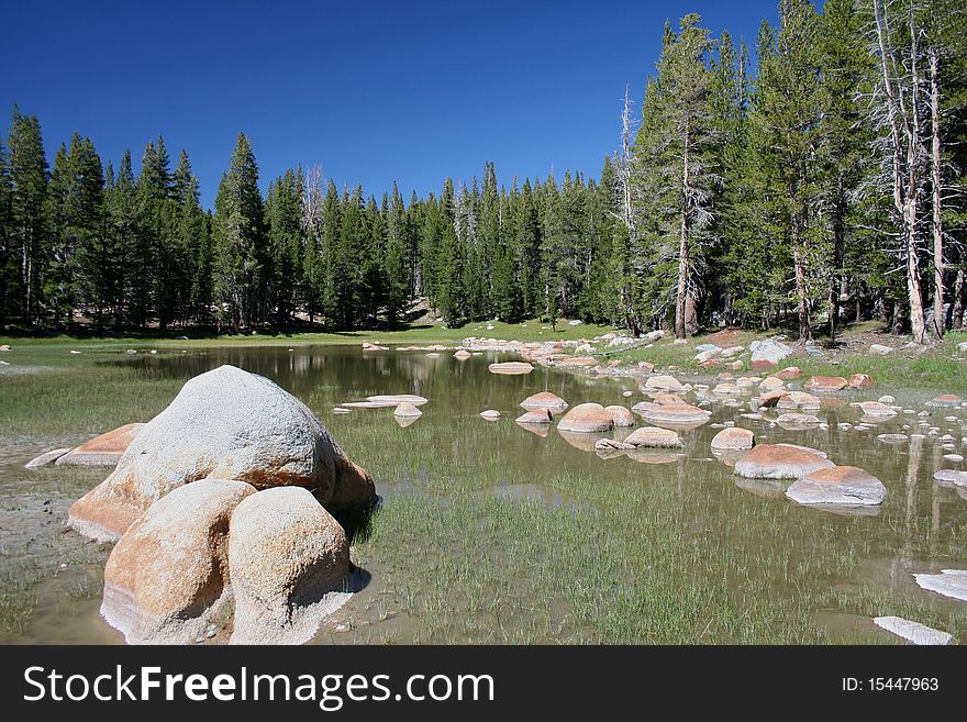 Pond at Yosemite