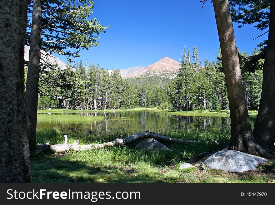 Lake At Yosemite