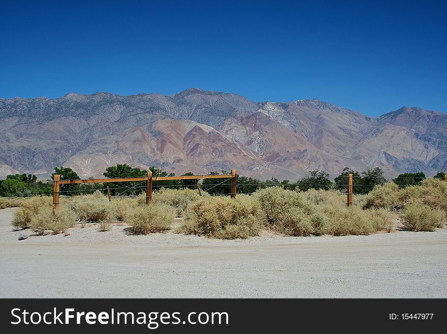 Bushes and trees in front of an arid mountain range.