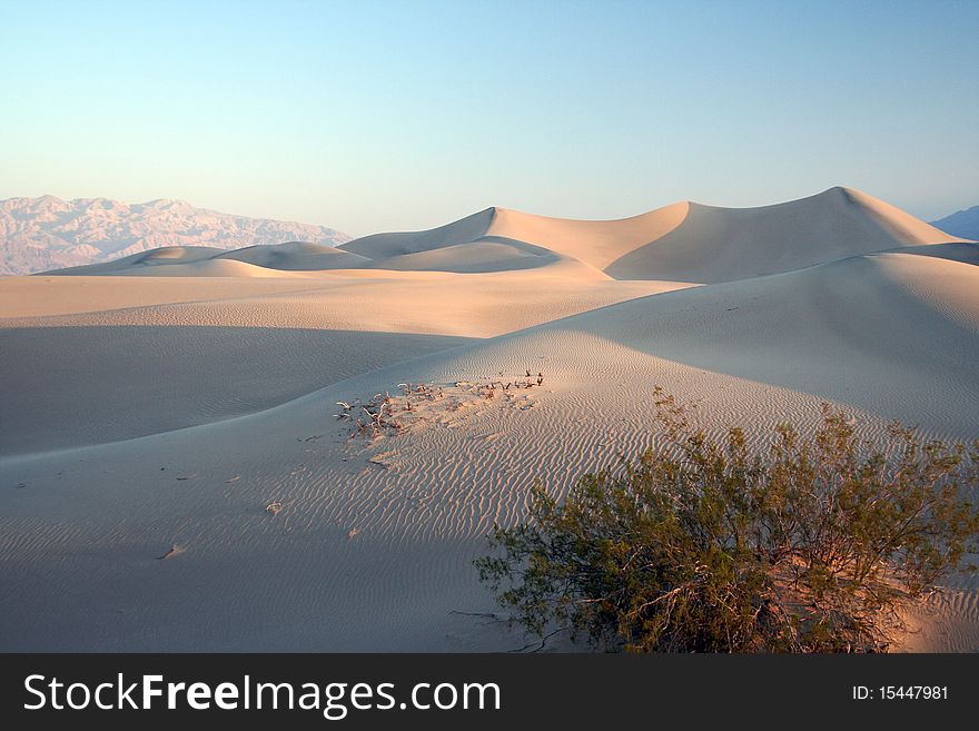 Sand dunes in death valley.