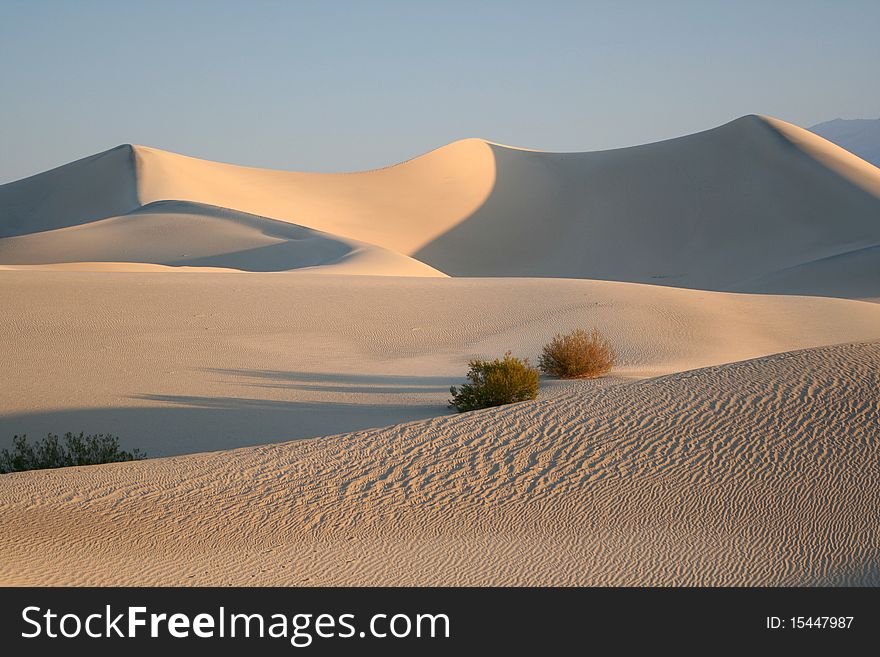 A sand dune with ripples. A sand dune with ripples.