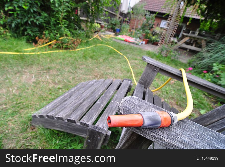 Close-up of a hose pipe in a garden.