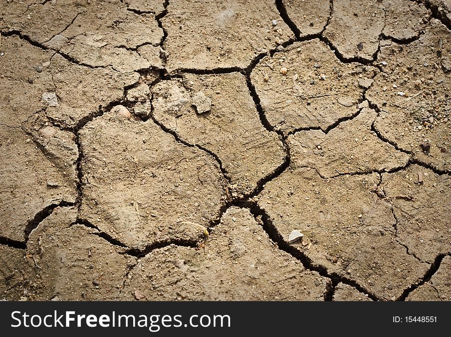 Dry Cracked Soil