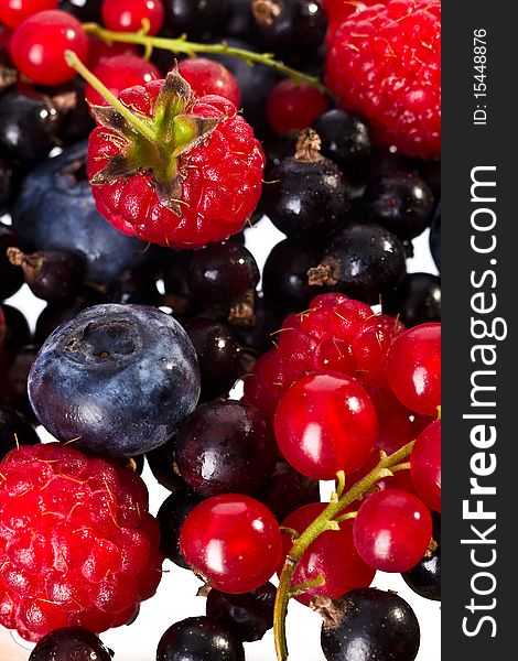 Mixed Fresh Raspberry, Cherry, Billberry, Red and Black Currant. Mixed Fresh Raspberry, Cherry, Billberry, Red and Black Currant