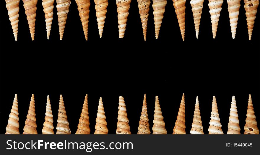 Number of seashells closeup isolated on black background