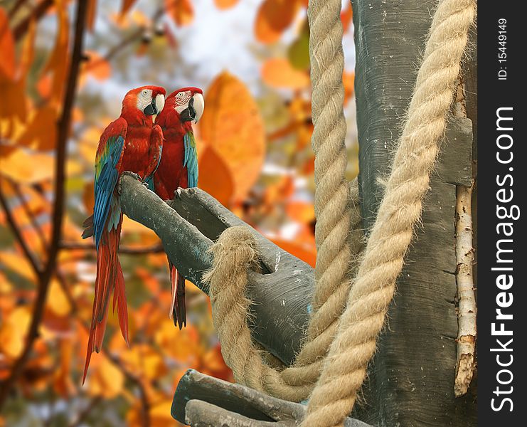 Parrot - red blue macaw against a background of bright leaves of trees