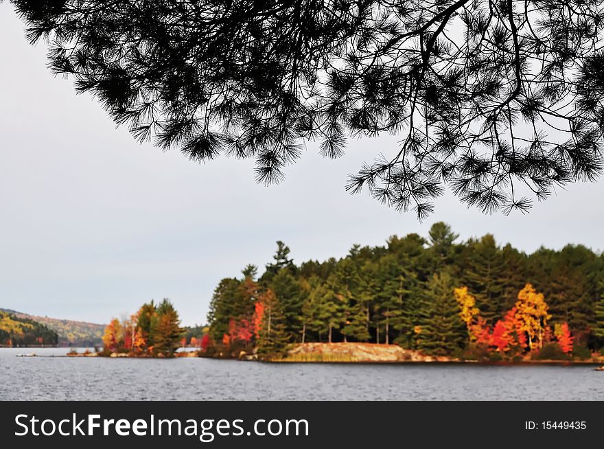 Autumn landscape. Algonquin Park, Ontario, Canada. Autumn landscape. Algonquin Park, Ontario, Canada