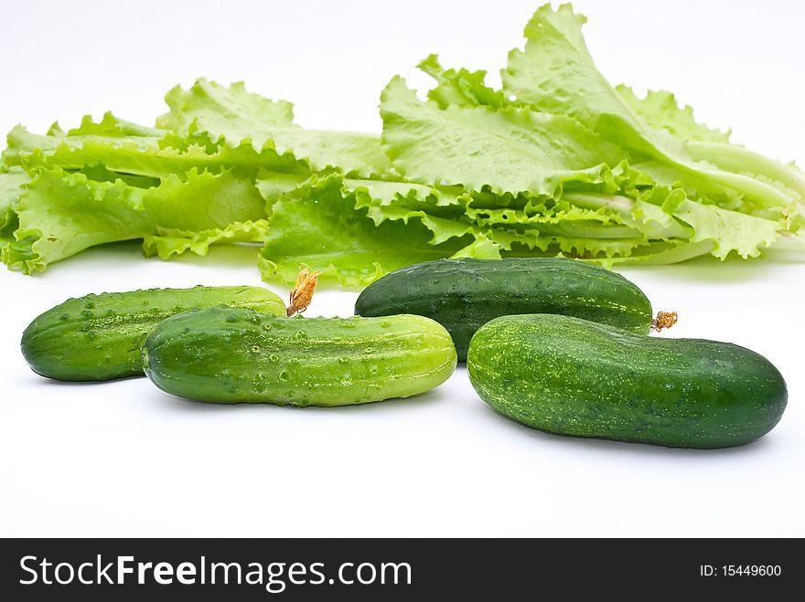 Fresh cucumbers with lettuce salad on white