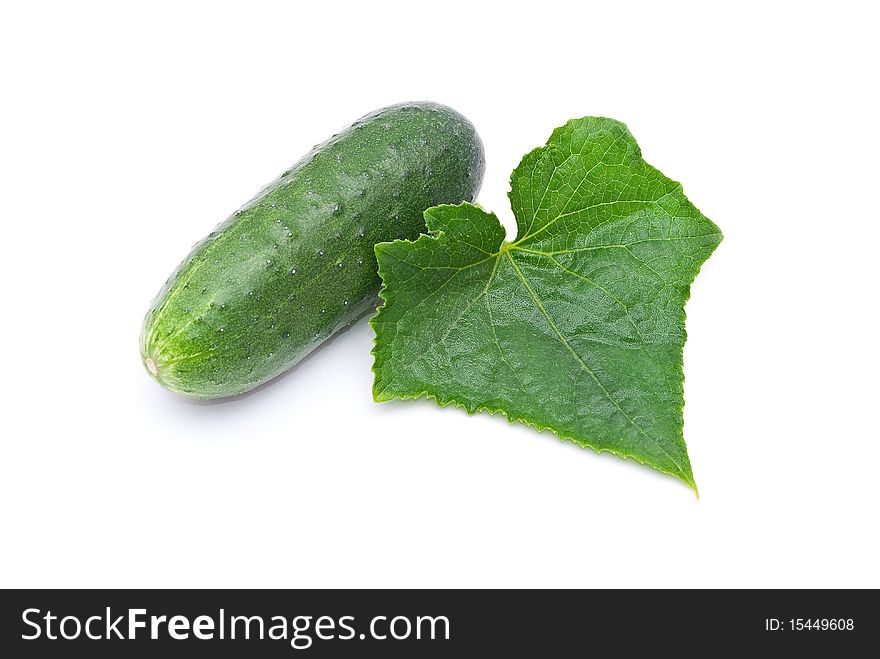 Fresh cucumber with leaf on white