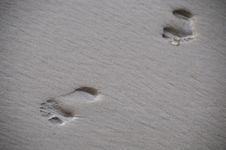 Foot Prints In The Sand Stock Image
