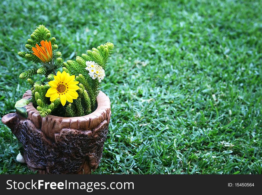 Yellow and orange daisies,white lantana flowers in vase on green grass.