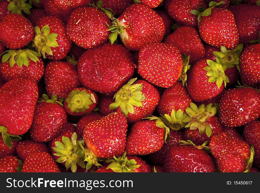 Fresh strawberries right after being picked