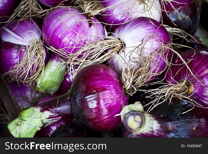 Freshly picked onions ready to cooked. Freshly picked onions ready to cooked.