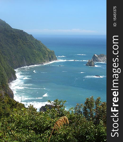 Rainforest meets ocean shore in New Zealand. Rainforest meets ocean shore in New Zealand