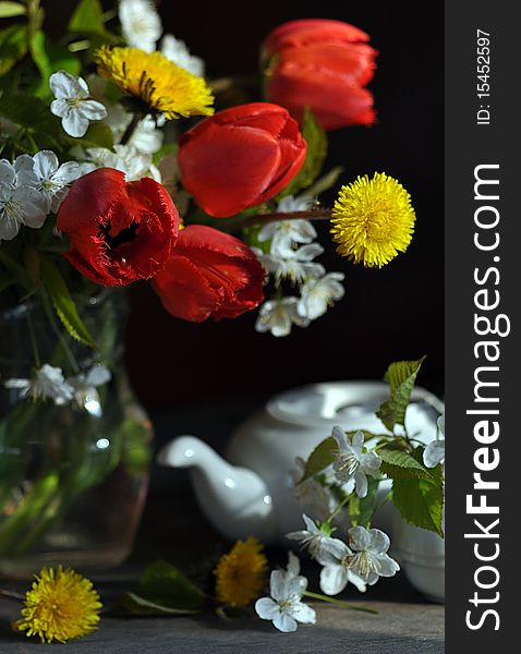 Tulips, dandelions and branch of flowering cherry, stand in a glass vase, alongside tea-pot and cup. Tulips, dandelions and branch of flowering cherry, stand in a glass vase, alongside tea-pot and cup