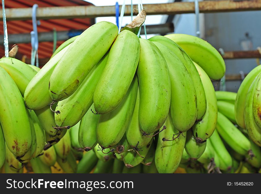 Green banana in the market