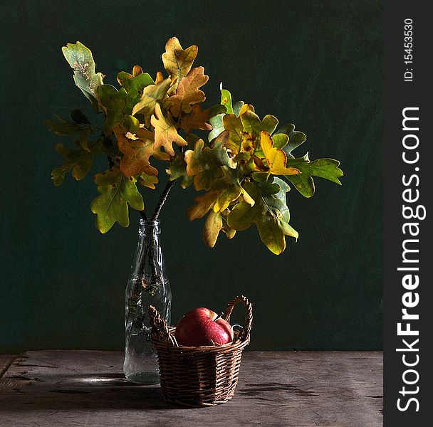 Still life with the leaves of oak and apple