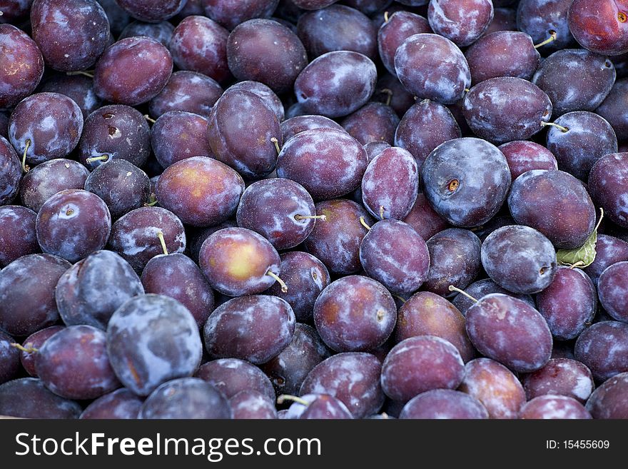 Group of fresh violet plums on the market. Group of fresh violet plums on the market