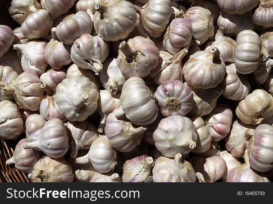 Lots of Garlic at Farmer's Market