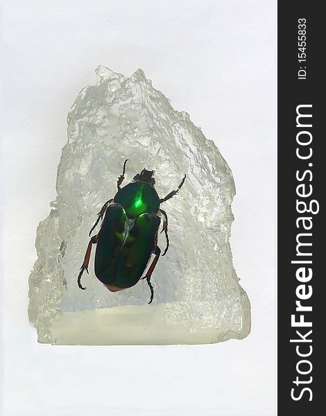 A beetle embedded in a crystal.
This kind of souvenirs are sold in Malasia. A beetle embedded in a crystal.
This kind of souvenirs are sold in Malasia.