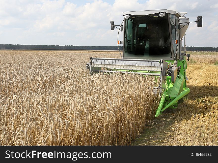 Machine harvesting the corn field