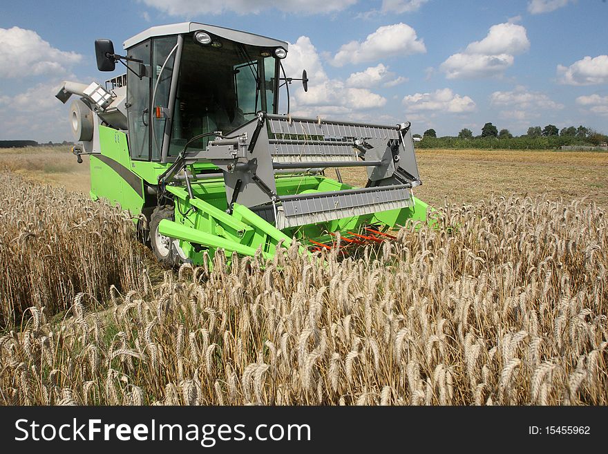 Machine harvesting the corn field