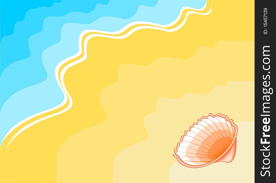 Seashell