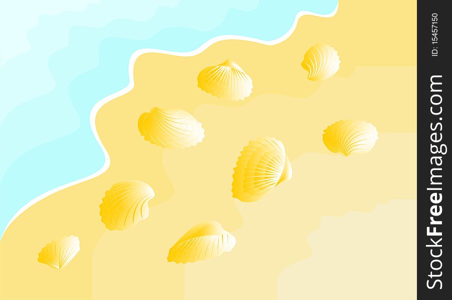 Seashell