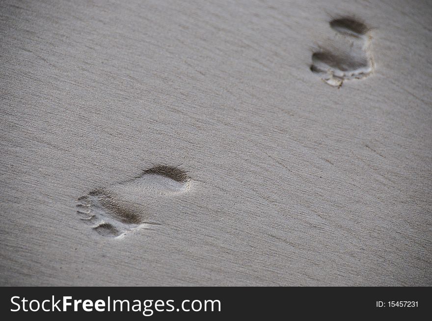 A shot of foot prints in the sand