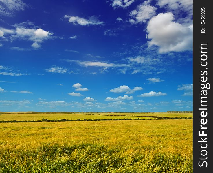 Fresh summer plain landscape under the blue sky