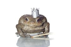 Queen-frog Royalty Free Stock Images