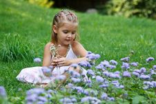 A Little Girl Sitting In The Meadow Stock Photo