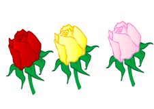 Vector Illustration Red ,yellow,pink Roses Royalty Free Stock Image Vector Illustration Red ,yellow,pink Roses Royalty Free Stock Image