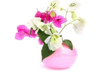 Flowers In Vase Stock Photography Flowers In Vase Stock Photography