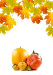Maple Leaves And Pumpkins Stock Photo Maple Leaves And Pumpkins Stock Photo