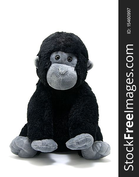 Studio shot of the young gorilla toy on white