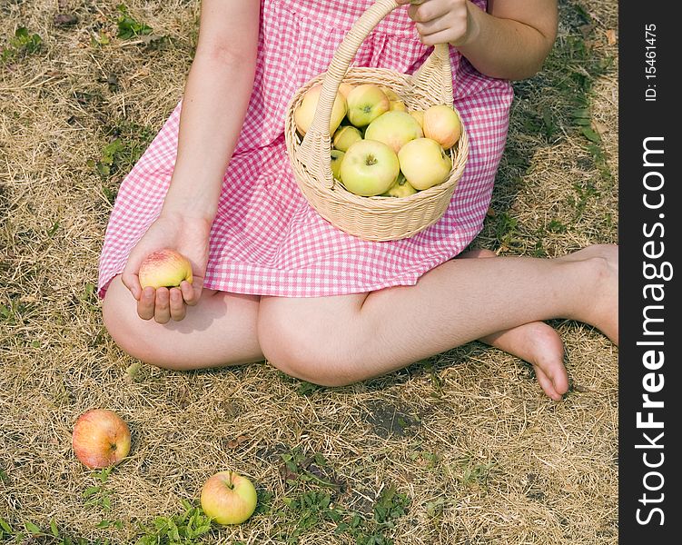 Girl Collects The Apples