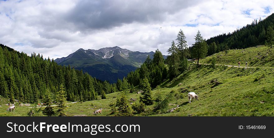 Foothills Of The Stubai Alps