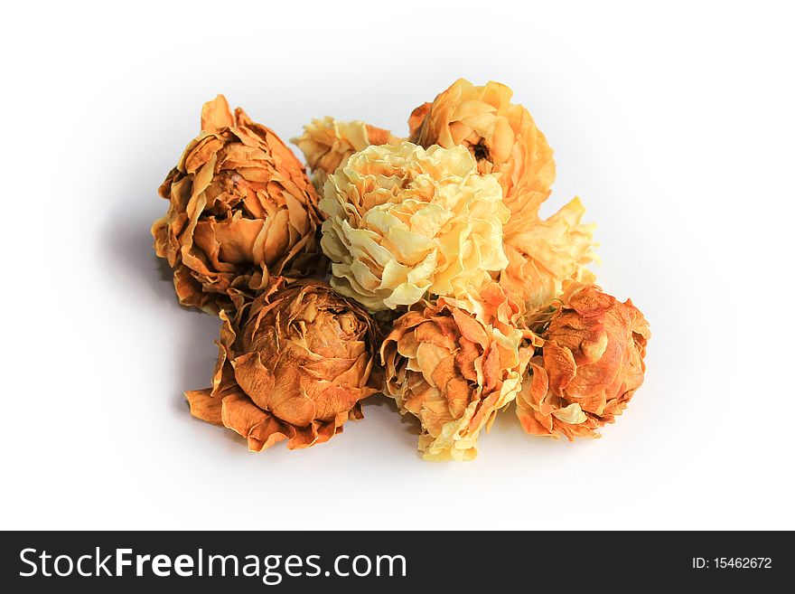 Jasmine flower tea isolated on the white background. Jasmine flower tea isolated on the white background