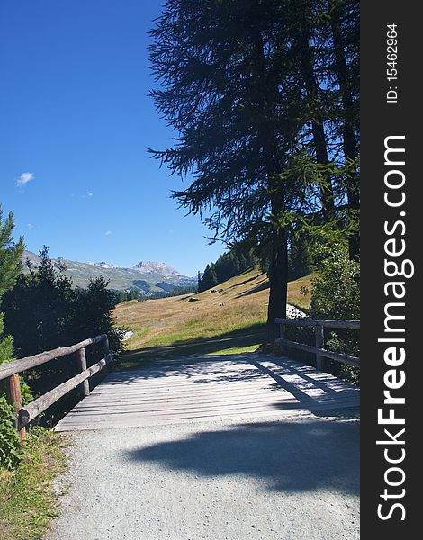 Mountain trail between pastures and forests. Mountain trail between pastures and forests