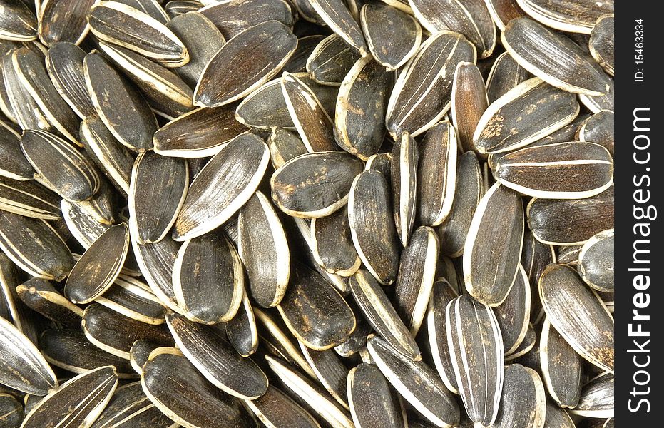 Macro view of sunflower seeds