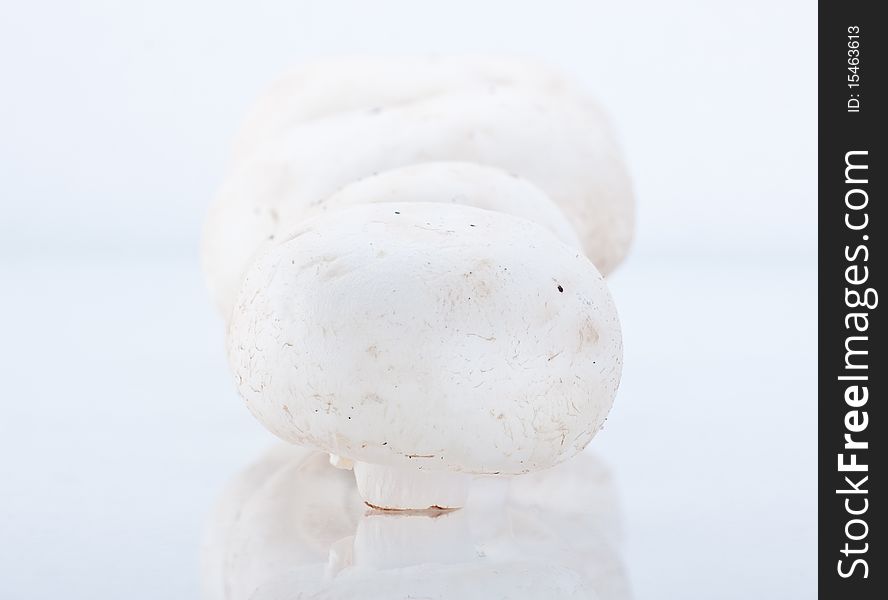 Group of champignons on white background. Group of champignons on white background