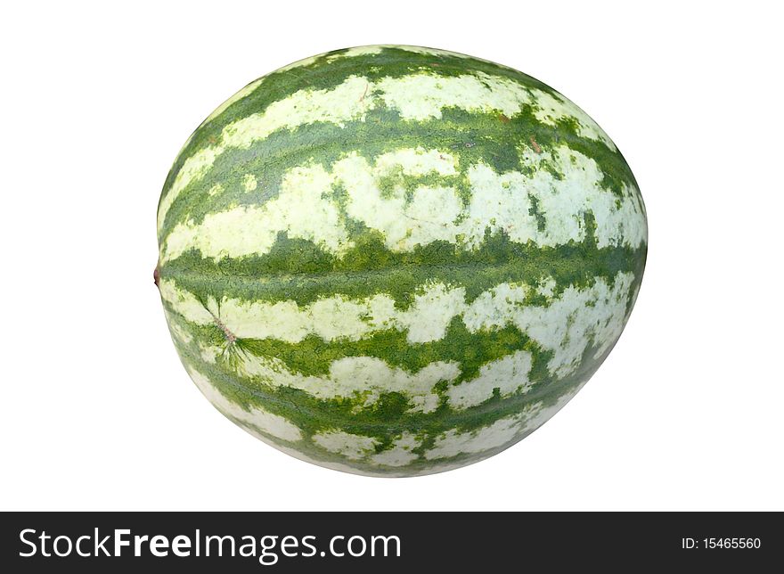 The image of watermelon under the white background. Focus is under the center of watermelon